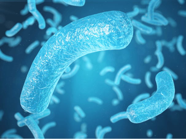 Misunderstanding Microbes – Mysophobia