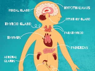 Introduction to Anxiety Caused by Hypothyroidism