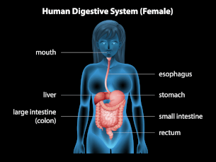 How Anxiety Causes Esophagus Problems