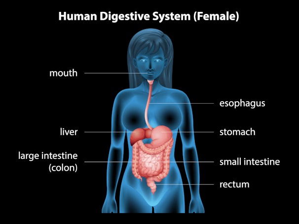 How Anxiety Causes Esophagus Problems