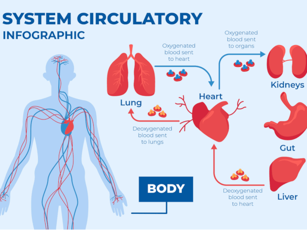 How Anxiety Can Create Circulation Problems