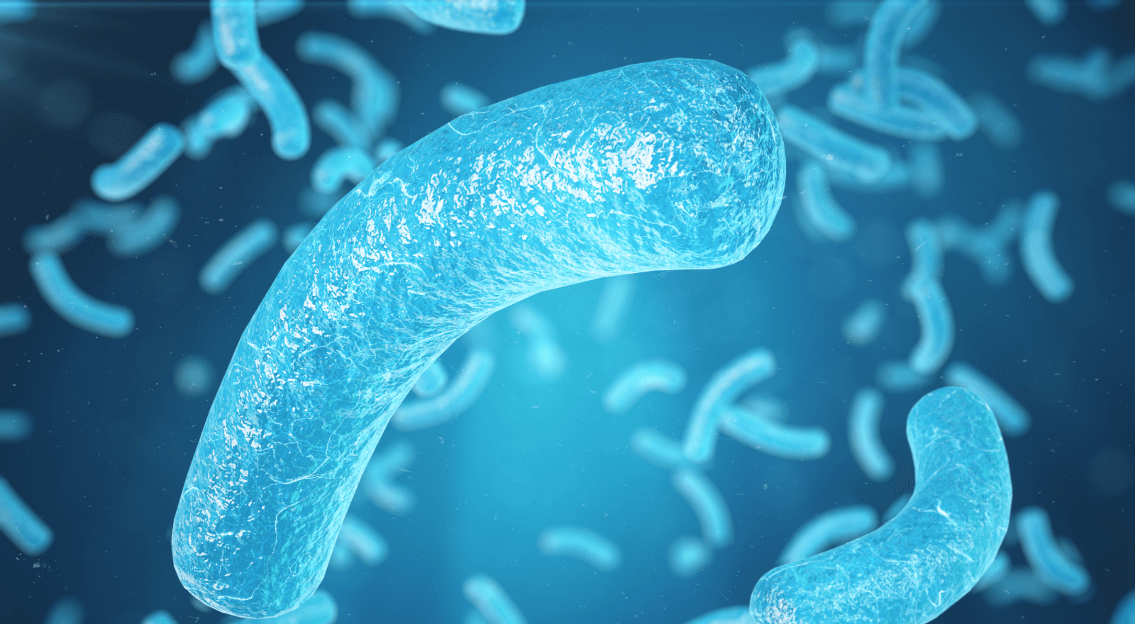 Misunderstanding Microbes – Mysophobia